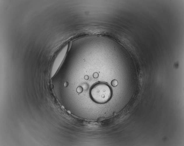 X0000116340359200912221446