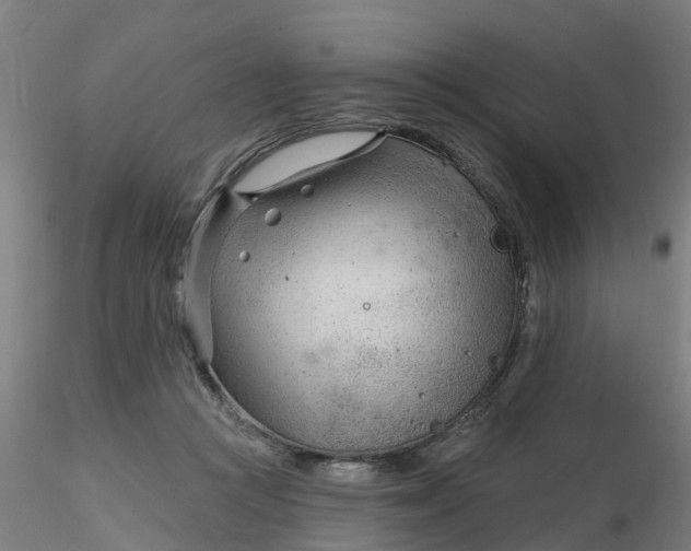 X0000116340361200912221446