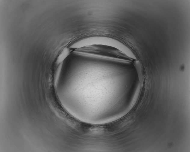 X0000116340362200912221446