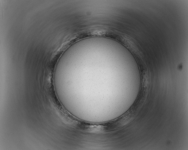 X0000116340363200912221446