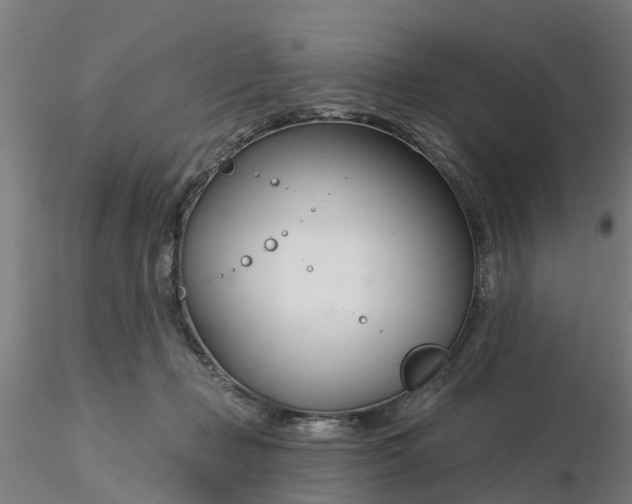 X0000116340365200912221446