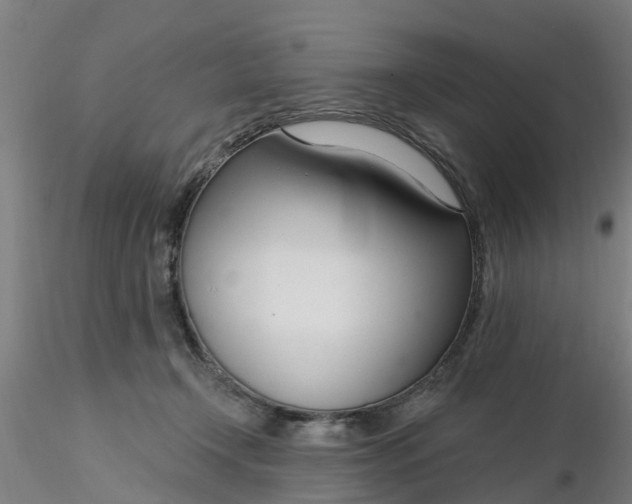 X0000116340366200912221446