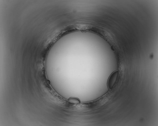 X0000116340367200912221446