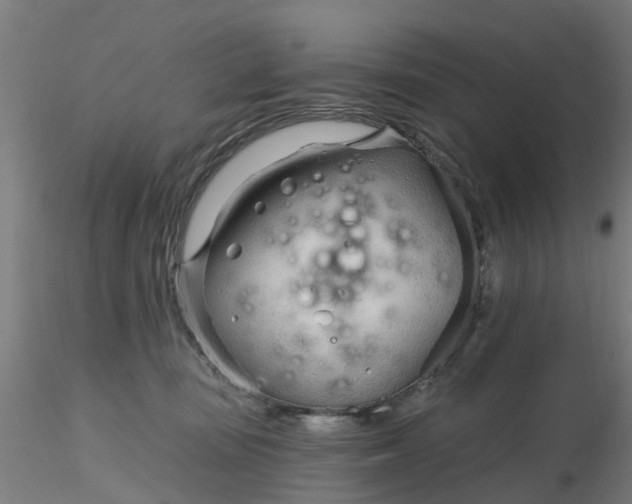 X0000116340371200912221446