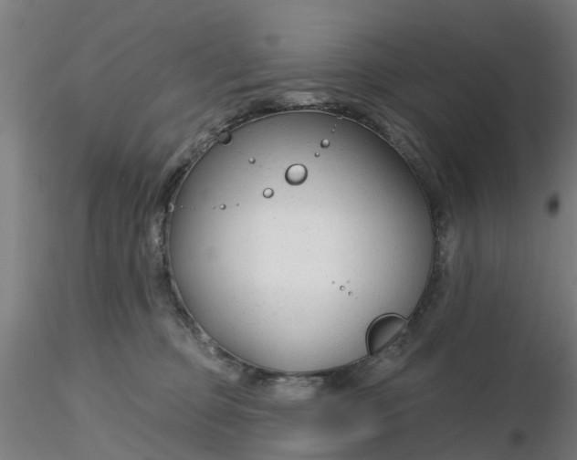 X0000116340373200912221446