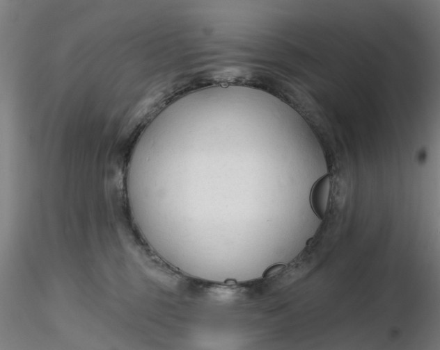 X0000116340375200912221446