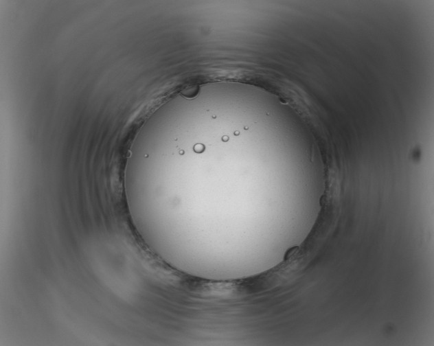 X0000116340377200912221446