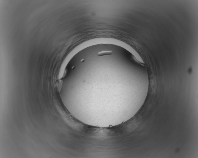 X0000116340379200912221446