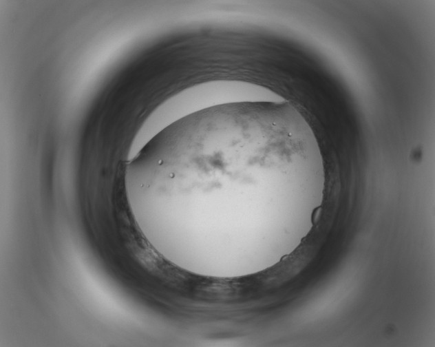 X0000116340383200912221446