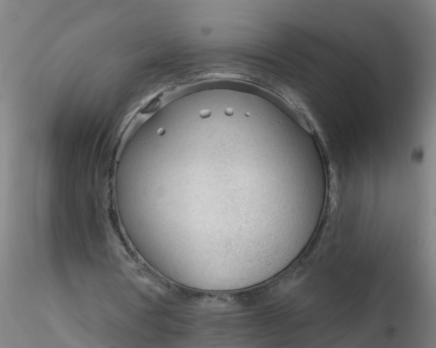 X0000116340386200912221445