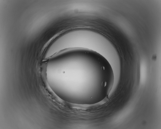 X0000116340387200912221445