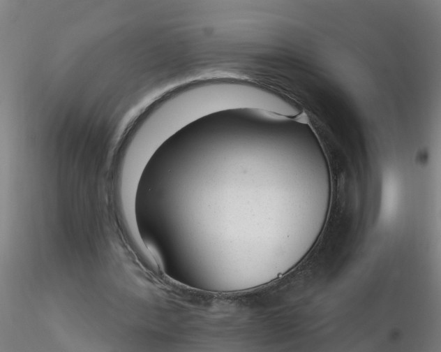 X0000116340388200912221445