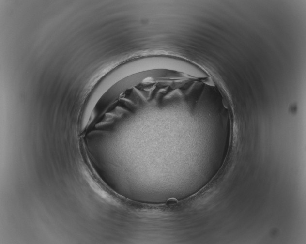 X0000116340389200912221445