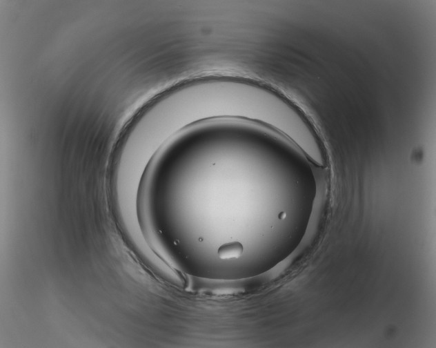 X0000116340391200912221445