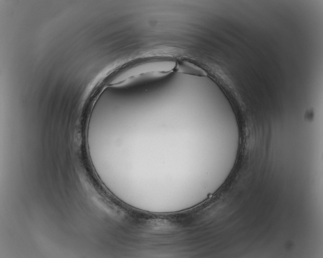 X0000116340392200912221445