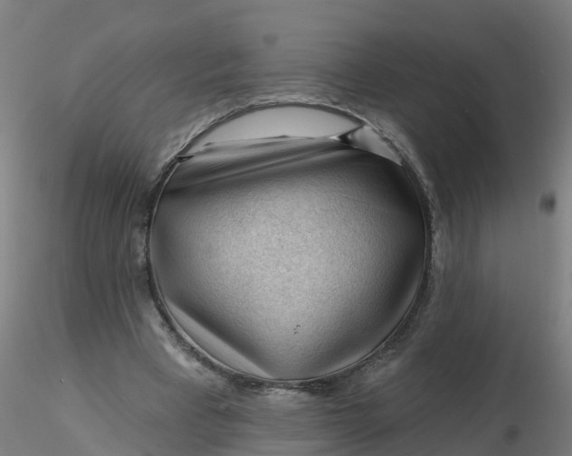 X0000116340393200912221445