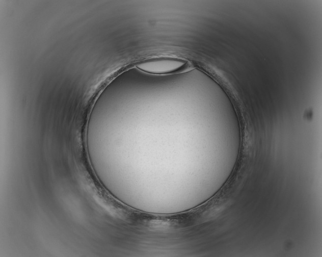 X0000116340394200912221445