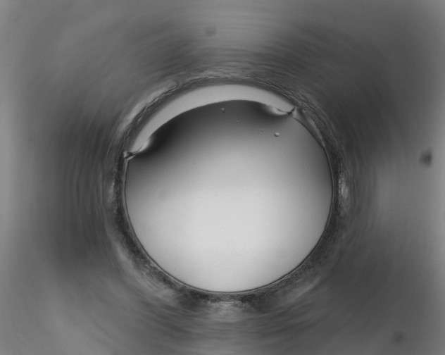 X0000116340396200912221445