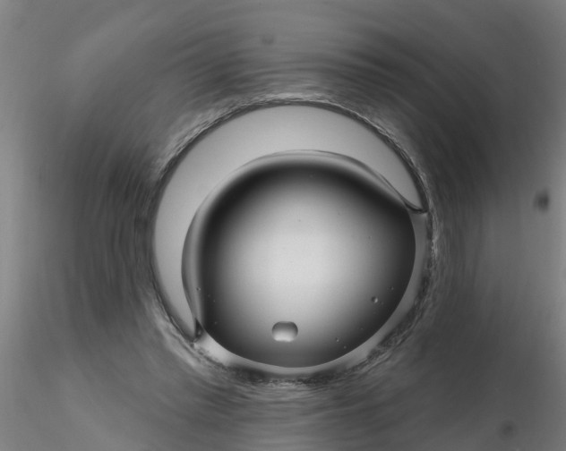 X0000116340397200912221445