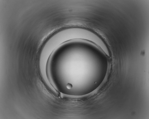 X0000116340399200912221445