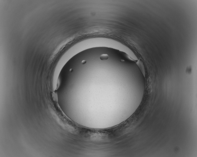 X0000116340400200912221445