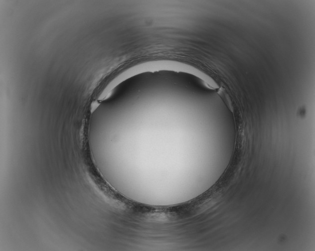 X0000116340404200912221445