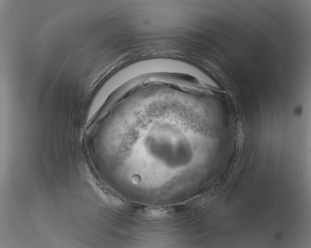 X0000116340405200912221445