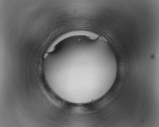 X0000116340408200912221445