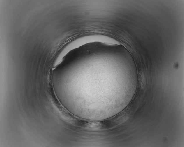 X0000116340410200912221445