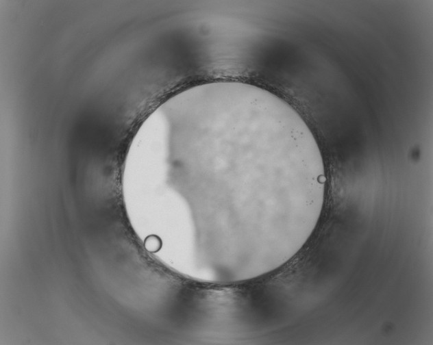 X0000116340411200912221445