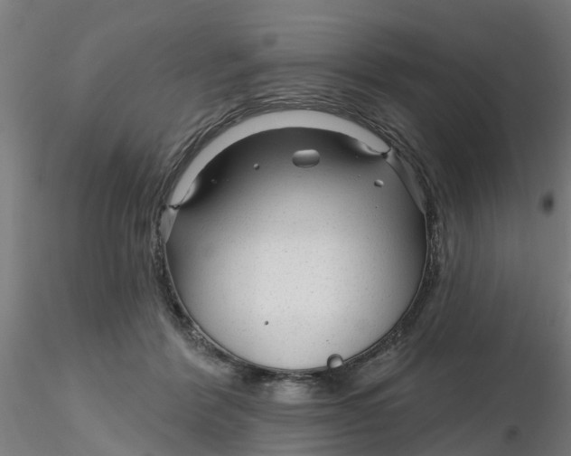 X0000116340412200912221445