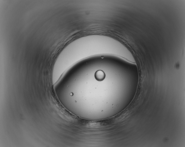 X0000116340413200912221445