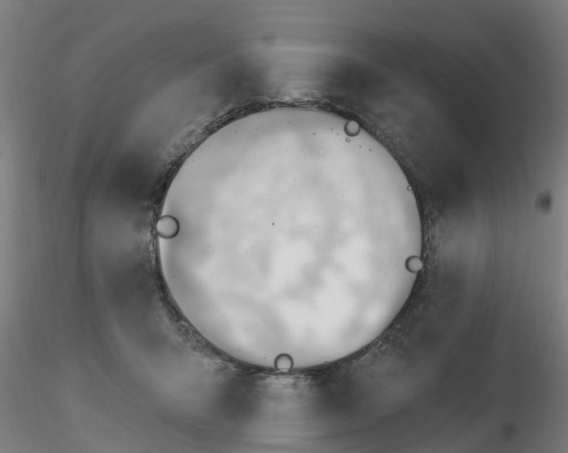 X0000116340415200912221445