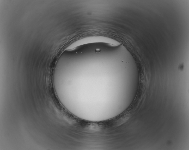 X0000116340416200912221445