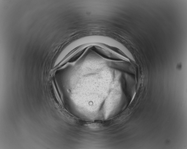 X0000116340417200912221445