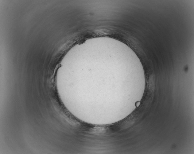 X0000116340418200912221445