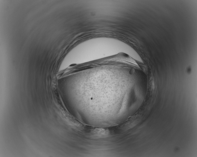 X0000116340421200912221445