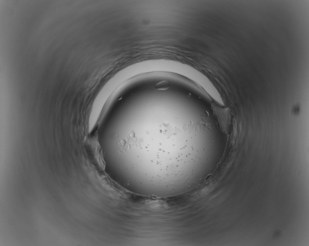 X0000116340424200912221445