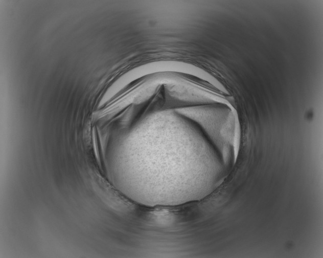 X0000116340425200912221445