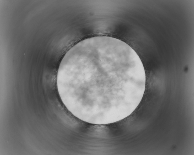 X0000116340427200912221445