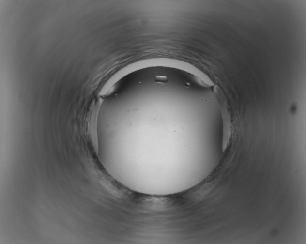 X0000116340428200912221445