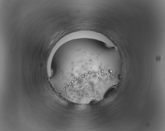 X0000116340432200912221445