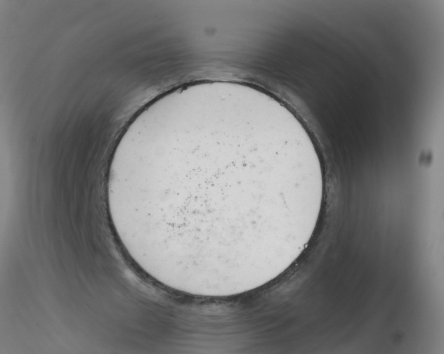 X0000116340433200912221444