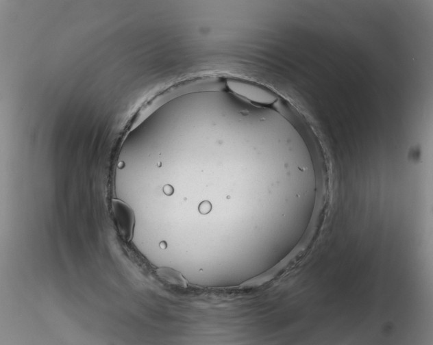 X0000116340434200912221444