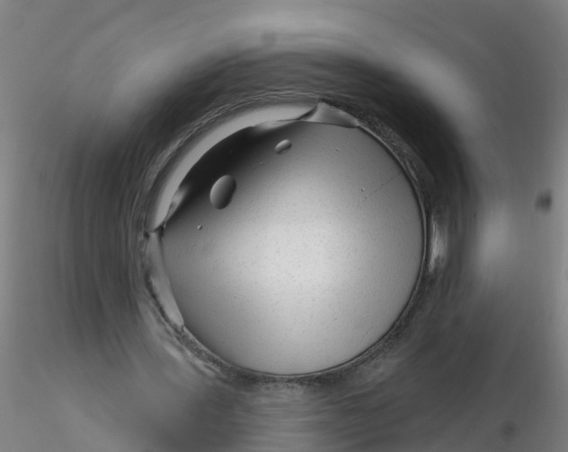 X0000116340435200912221444