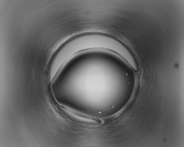 X0000116340436200912221444