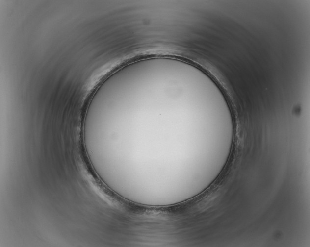 X0000116340437200912221444