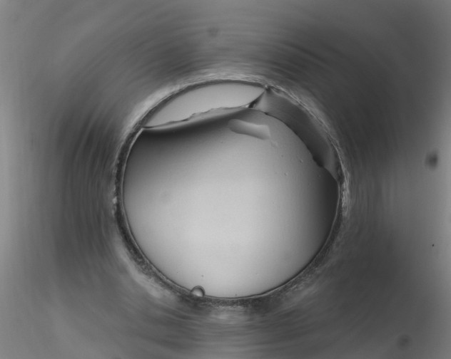 X0000116340438200912221444