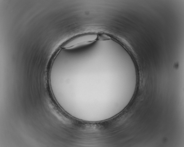 X0000116340439200912221444