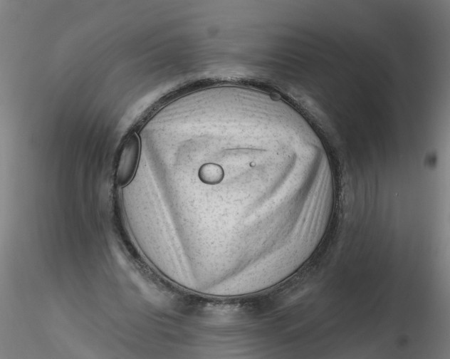 X0000116340440200912221444